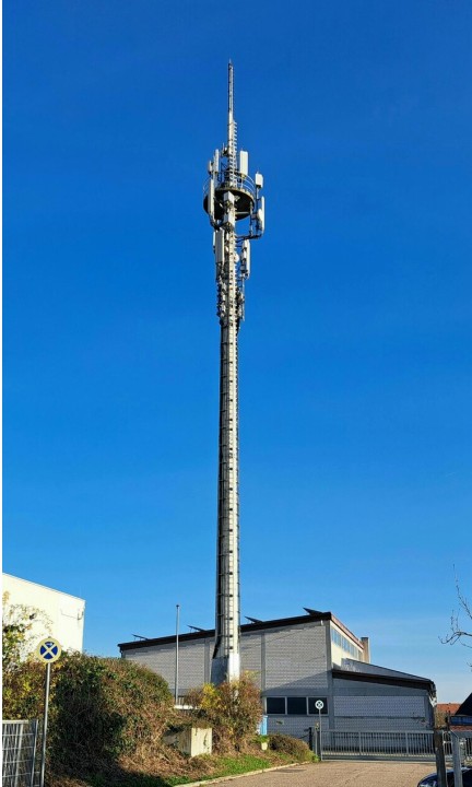Conferma